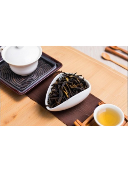 Feuilles Dan cong Phenix
