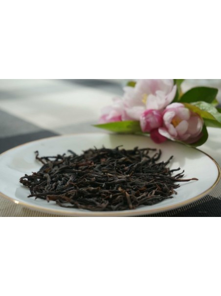 Feuilles Dan cong Phenix