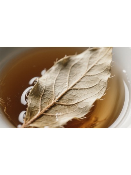 Feuille Shou Mei