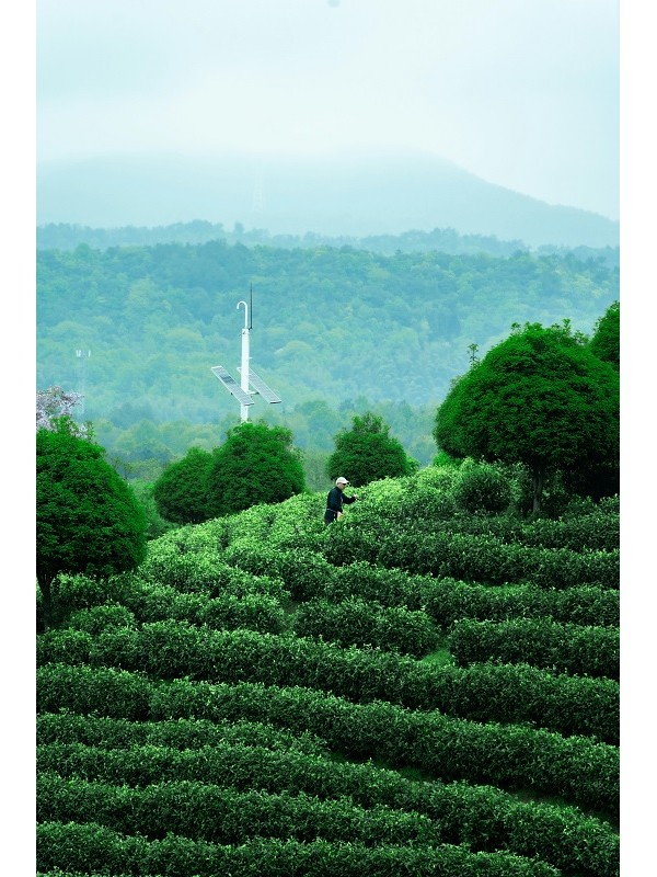 Jardin de Lu An