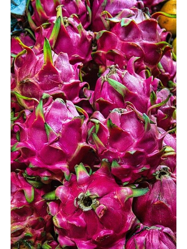 Pitaya