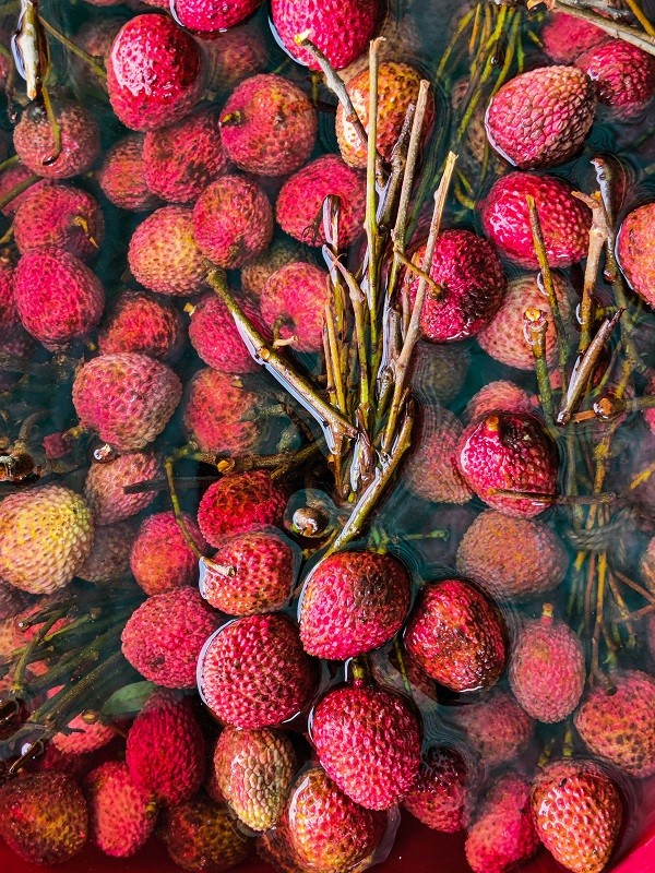 Litchis